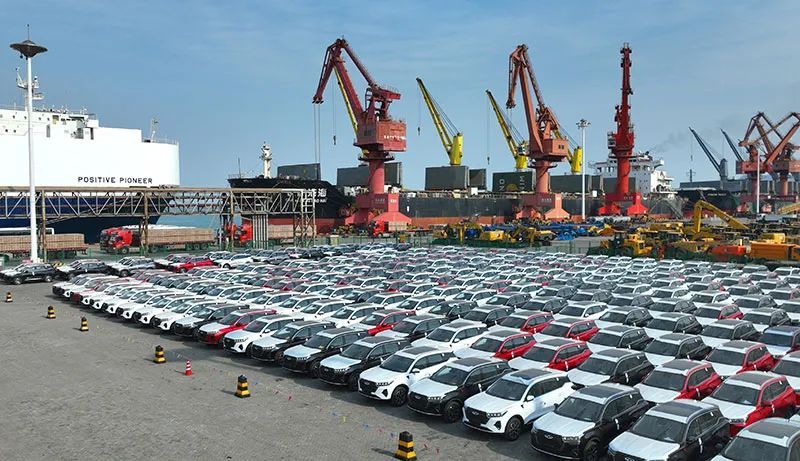 Ro-Ro and container shipping for vehicles